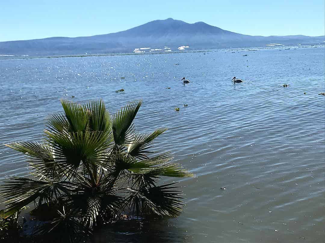 vuelos cancun guadalajara para conocer el lago de chapala